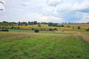 Działka na sprzedaż 9213m2 krakowski Iwanowice Zalesie - zdjęcie 2