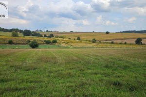 Działka na sprzedaż 9213m2 krakowski Iwanowice Zalesie - zdjęcie 3