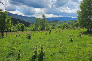 Działka na sprzedaż 3250m2 suski Zawoja - zdjęcie 3