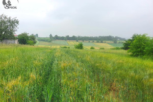 Działka na sprzedaż 1500m2 wielicki Kłaj Grodkowice - zdjęcie 2