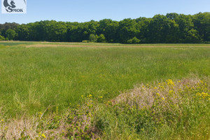 Działka na sprzedaż 5400m2 bocheński Drwinia Ispina - zdjęcie 1