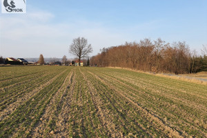 Działka na sprzedaż krakowski Kocmyrzów-Luborzyca Wilków - zdjęcie 1