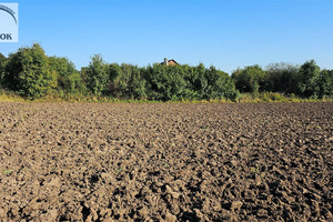 Działka na sprzedaż krakowski Słomniki Polanowice - zdjęcie 2