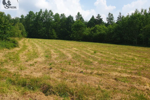 Działka na sprzedaż 5400m2 krakowski Mogilany Włosań - zdjęcie 3