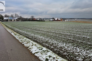 Działka na sprzedaż 1300m2 krakowski Iwanowice Lesieniec - zdjęcie 3