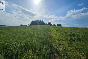 Działka na sprzedaż 3700m2 krakowski Jerzmanowice-Przeginia Jerzmanowice - zdjęcie 3