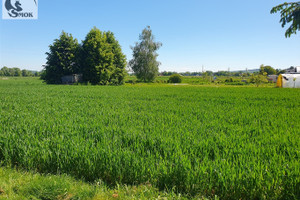 Działka na sprzedaż 4500m2 wielicki Gdów Książnice - zdjęcie 3