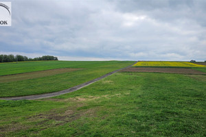 Działka na sprzedaż 8000m2 krakowski Sułoszowa Wielmoża - zdjęcie 1