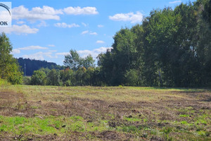 Działka na sprzedaż 11700m2 krakowski Liszki Cholerzyn - zdjęcie 4