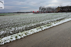 Działka na sprzedaż 1300m2 krakowski Iwanowice Lesieniec - zdjęcie 4