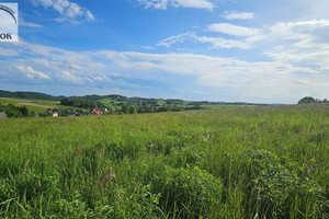 Działka na sprzedaż 3700m2 krakowski Jerzmanowice-Przeginia Jerzmanowice - zdjęcie 2