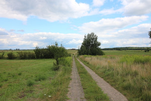 Działka na sprzedaż 7700m2 stargardzki Dobrzany Biała - zdjęcie 2