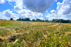 Działka na sprzedaż 4300m2 wejherowski Gniewino - zdjęcie 2