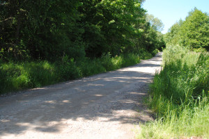 Działka na sprzedaż 3348m2 gdański Kolbudy Słonecznikowa - zdjęcie 1