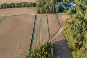 Działka na sprzedaż 2800m2 golubsko-dobrzyński Ciechocin Jesionka - zdjęcie 2