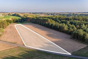 Działka na sprzedaż 6800m2 golubsko-dobrzyński Ciechocin Jesionka - zdjęcie 3