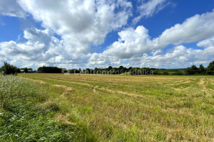 Działka na sprzedaż 4300m2 wejherowski Gniewino - zdjęcie 3