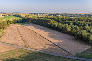 Działka na sprzedaż 6800m2 golubsko-dobrzyński Ciechocin Jesionka - zdjęcie 2