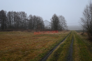 Działka na sprzedaż 16220m2 opolski Ozimek Biestrzynnik - zdjęcie 3