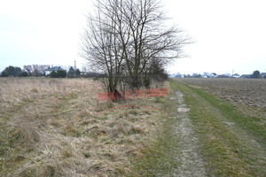 Działka na sprzedaż opolski Ozimek Szczedrzyk - zdjęcie 1