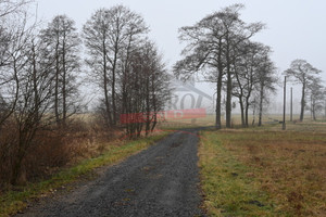 Działka na sprzedaż 16220m2 opolski Ozimek Biestrzynnik - zdjęcie 1