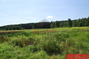 Działka na sprzedaż 7605m2 strzelecki Zawadzkie Żędowice - zdjęcie 1