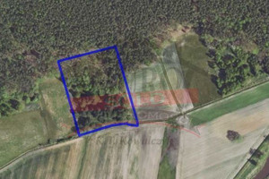 Działka na sprzedaż 11550m2 opolski Ozimek Krasiejów - zdjęcie 1