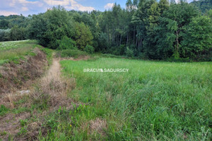 Działka na sprzedaż 8000m2 wielicki Gdów Klęczana - zdjęcie 2