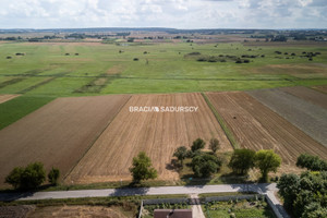 Działka na sprzedaż 14800m2 jędrzejowski Sędziszów Podsadek - zdjęcie 2