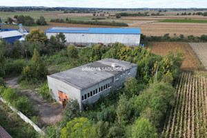 Komercyjne na sprzedaż 9146m2 tarnowski Żabno Siedliszowice - zdjęcie 3