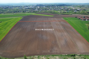 Działka na sprzedaż 30420m2 krakowski Michałowice Młodziejowice - zdjęcie 1