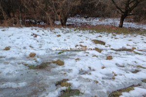 Działka na sprzedaż 9900m2 wielicki Wieliczka Czarnochowice - zdjęcie 1