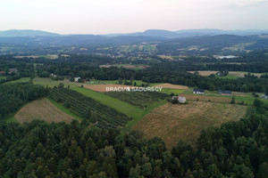 Działka na sprzedaż 49000m2 bocheński Łapanów Wolica - zdjęcie 3