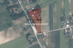 Działka na sprzedaż 8300m2 kazimierski Kazimierza Wielka Sieradzice - zdjęcie 3