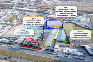 Komercyjne do wynajęcia 1000m2 Kraków Podgórze Rybitwy Botewa - zdjęcie 4