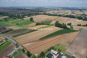 Działka na sprzedaż 4900m2 proszowicki Koniusza Niegardów - zdjęcie 2