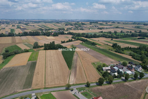 Działka na sprzedaż 1037m2 proszowicki Koniusza Niegardów - zdjęcie 1