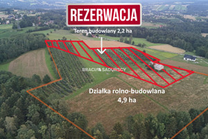 Działka na sprzedaż 49000m2 bocheński Łapanów Wolica - zdjęcie 1