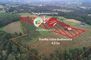 Działka na sprzedaż 49000m2 bocheński Łapanów Wolica - zdjęcie 1