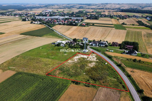 Działka na sprzedaż 8100m2 olkuski Trzyciąż Zadroże - zdjęcie 1