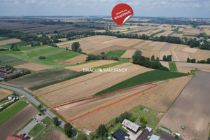 Działka na sprzedaż 4900m2 proszowicki Koniusza Niegardów - zdjęcie 1