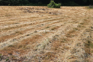 Działka na sprzedaż Kraków Dębniki Tyniec Walgierza Wdałego - zdjęcie 3