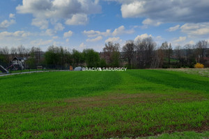 Działka na sprzedaż 2900m2 wielicki Biskupice Trąbki - zdjęcie 1