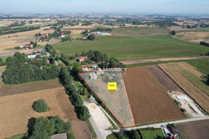 Działka na sprzedaż 8300m2 kazimierski Kazimierza Wielka Sieradzice - zdjęcie 2