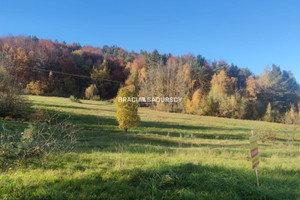 Działka na sprzedaż 1700m2 myślenicki Myślenice Poręba - zdjęcie 2