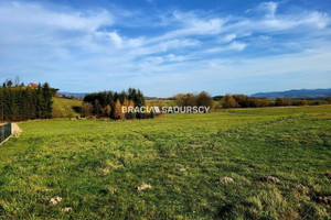 Działka na sprzedaż 7766m2 suski Jordanów Wysoka - zdjęcie 1