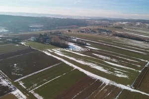 Działka na sprzedaż 15000m2 krakowski Skała Gołyszyn - zdjęcie 3