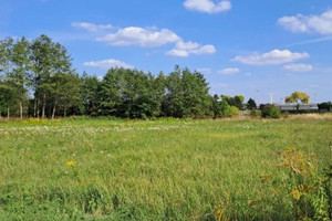 Działka na sprzedaż 1060m2 warszawski zachodni Błonie Radonice - zdjęcie 1