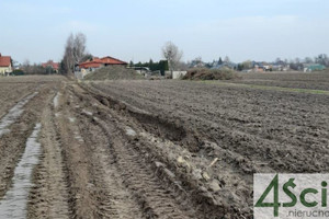 Działka na sprzedaż 1000m2 warszawski zachodni Leszno Zaborówek - zdjęcie 2