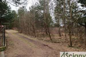 Działka na sprzedaż 2000m2 otwocki Wiązowna Malcanów - zdjęcie 2